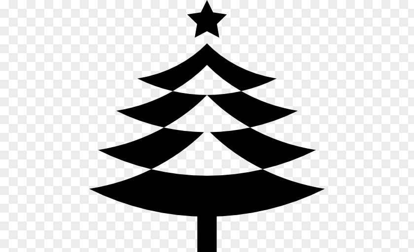 Star Shape Christmas Tree Spruce Pine PNG