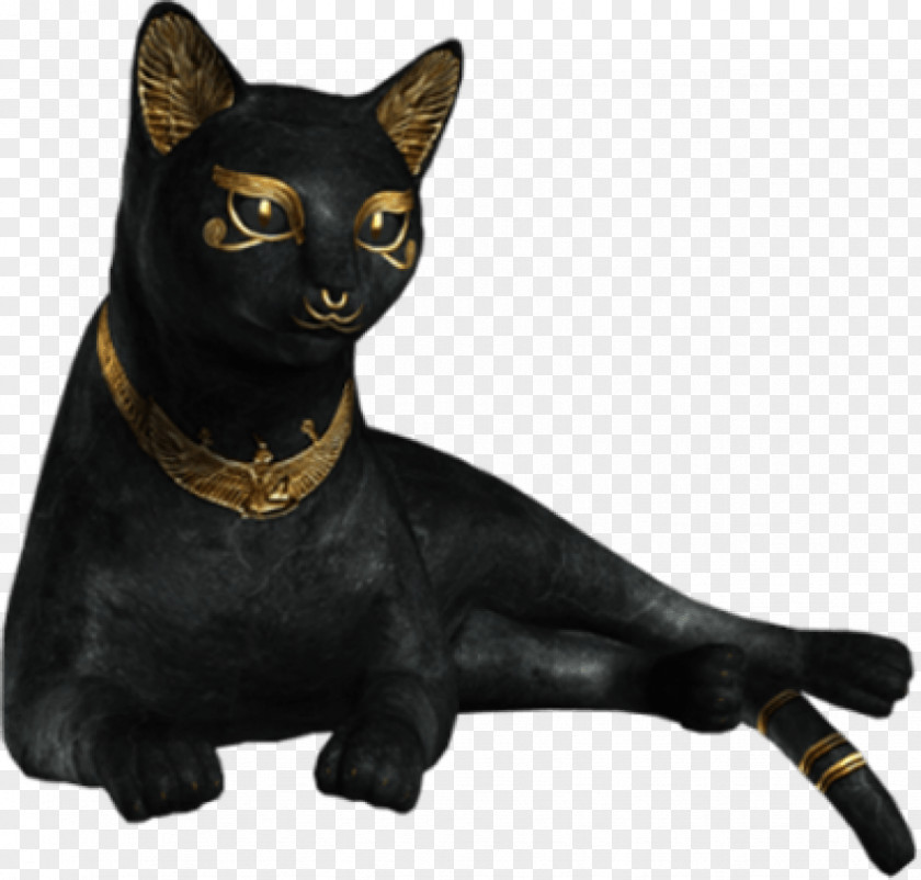 Cat Black Image Clip Art Desktop Wallpaper PNG