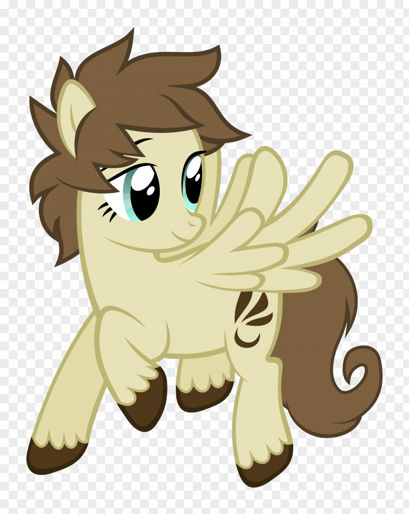 Feather Fan Cat Horse Pony Dog PNG