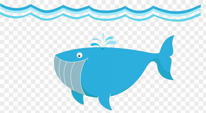 Flat Cartoon Whale Photography Illustration PNG