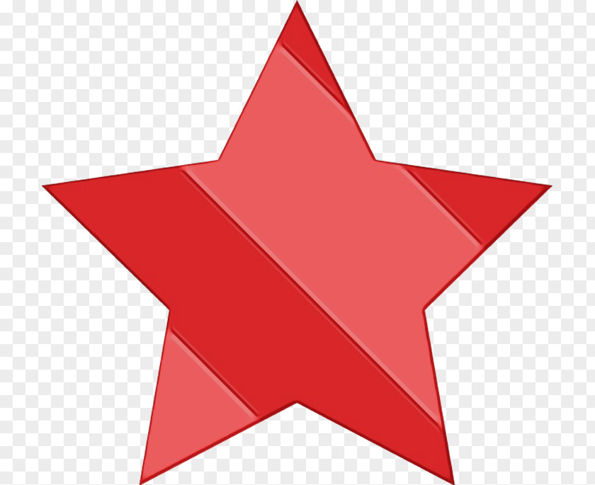 Paper Product Red Tree Star Plant Carmine PNG