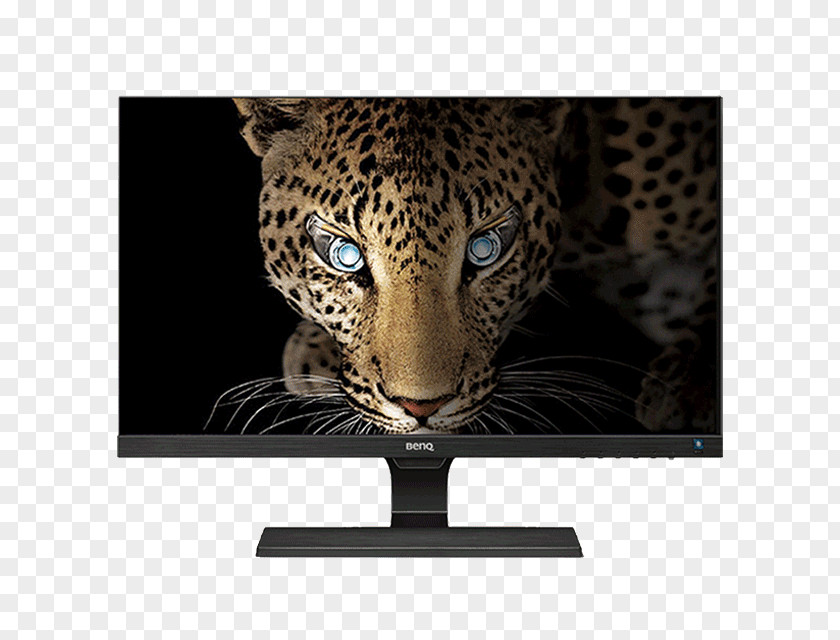 Smart TV La Aurora Zoo BenQ Display Device Liquid-crystal Zoolxf3gico PNG