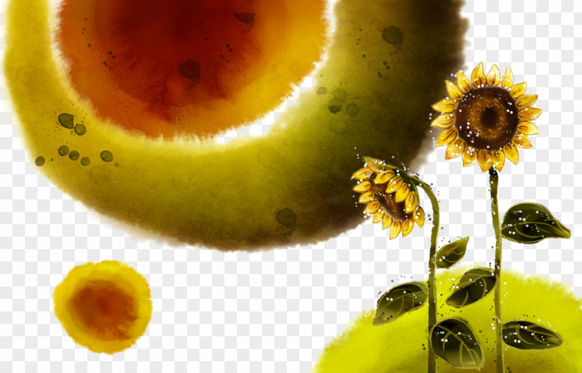 Hand-painted Sunflower Illustration PNG