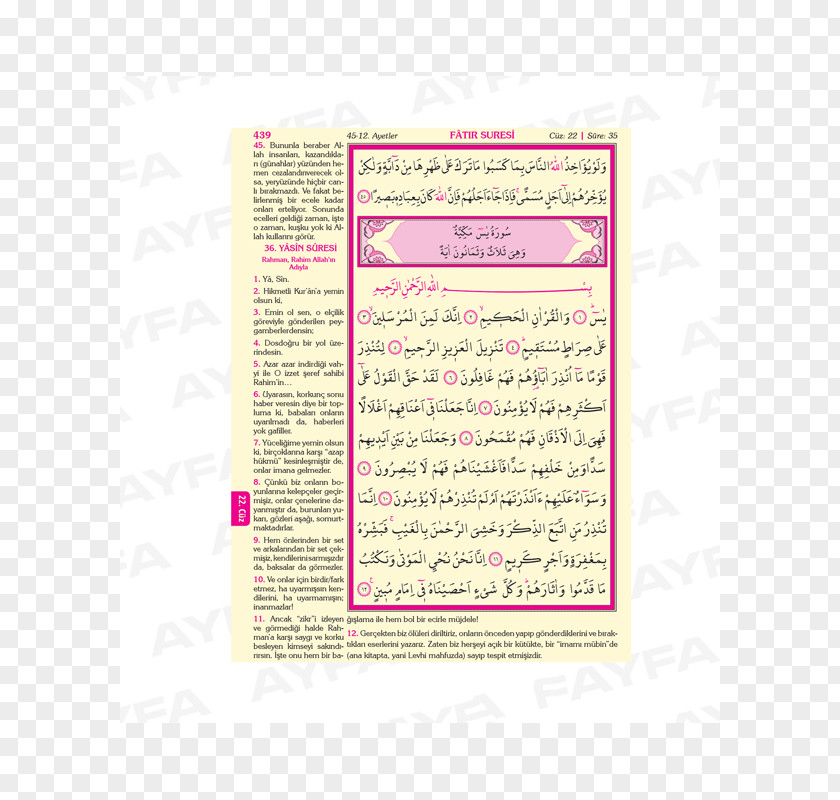 Kuran ı Kerim Qur'an Quran Translations Rahle Hafiz Color PNG