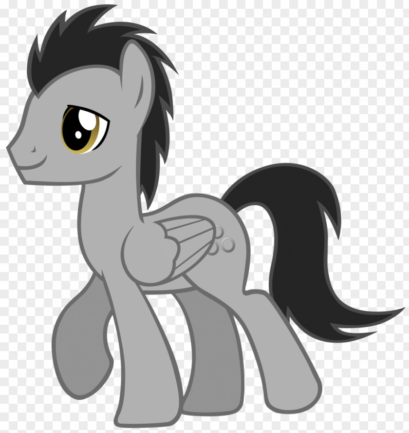 My Little Pony Twilight Sparkle Pinkie Pie Rarity Applejack PNG