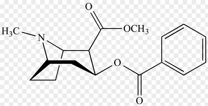 Organic Chemistry Cocaine Benzoylecgonine Alkaloid Erythroxylum Coca Amphetamine PNG