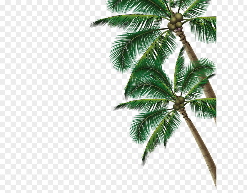 Coconut Tree Summer Poster Beach PNG