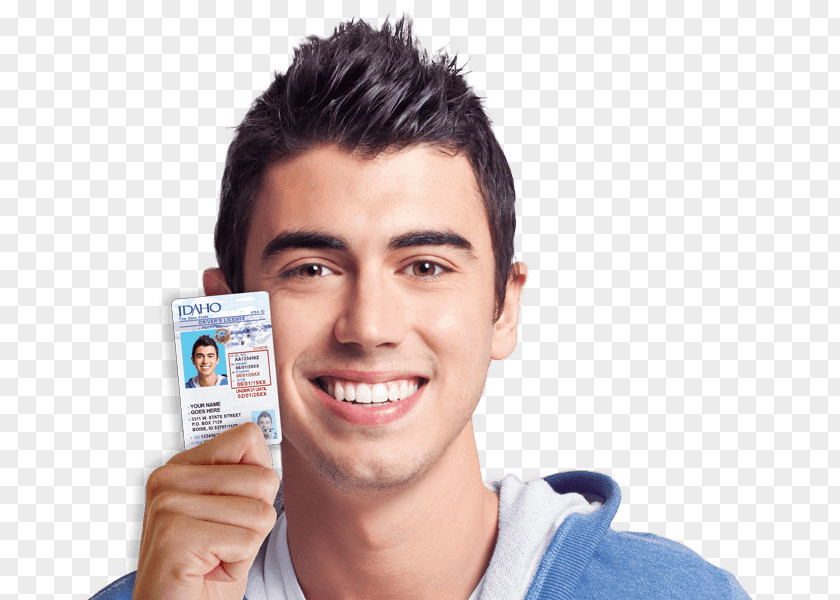 Driver Car Driver's Education License Learner's Permit Department Of Motor Vehicles PNG