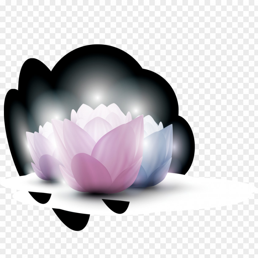 Lotus Icon PNG