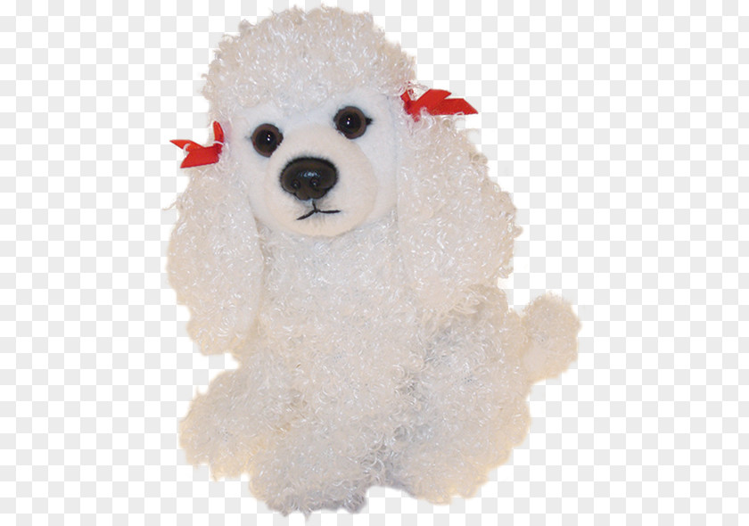 Puppy Standard Poodle Miniature Toy Maltese Dog PNG