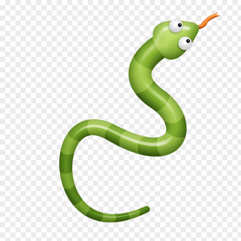Snake PNG clipart PNG