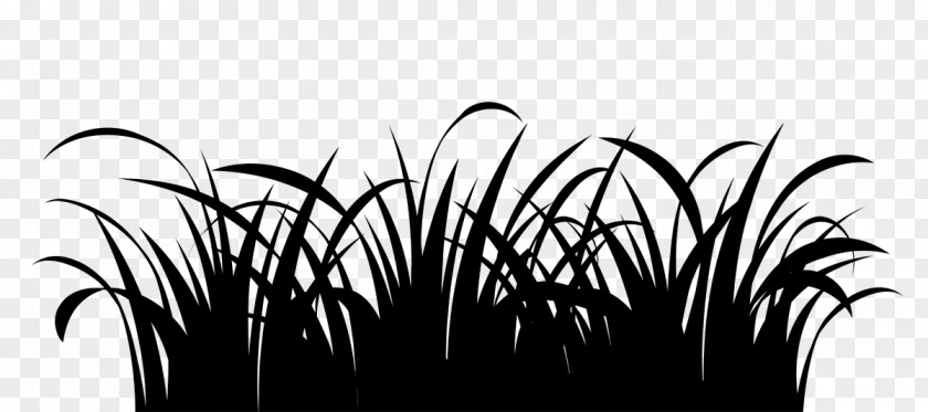 Vector Graphics Clip Art Lawn Drawing Illustration PNG