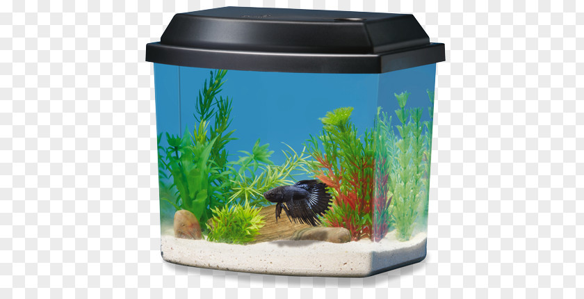 Aquarium Decor Siamese Fighting Fish Ranchu PetSmart Heater PNG