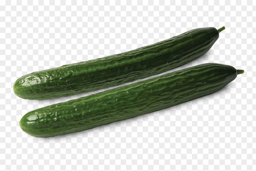 Cucumber Pickled Vegetable Slicing Health PNG