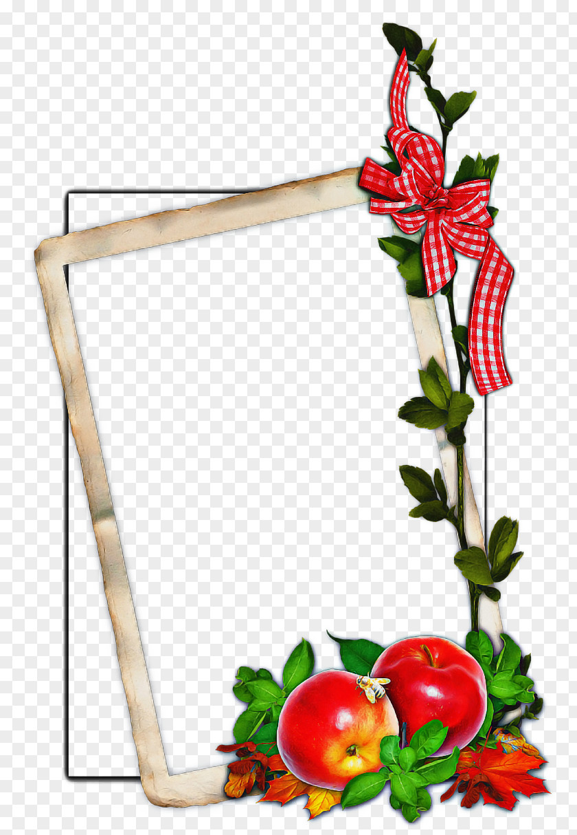 Holly Picture Frame Paper Background PNG