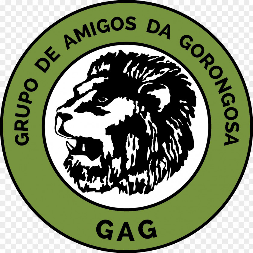 Park Gorongosa National Lion PNG