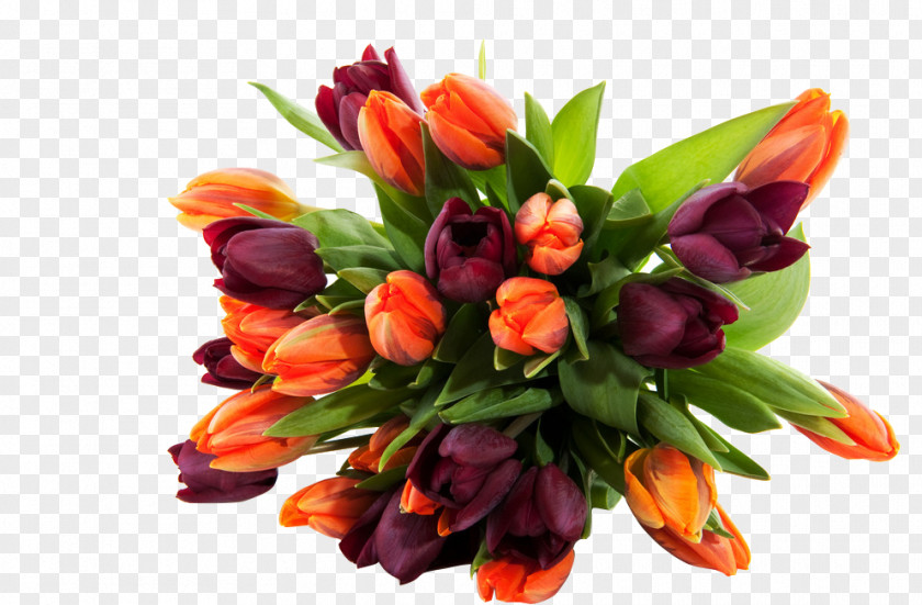 Tulip Bouquet Flower High-definition Television Wallpaper PNG