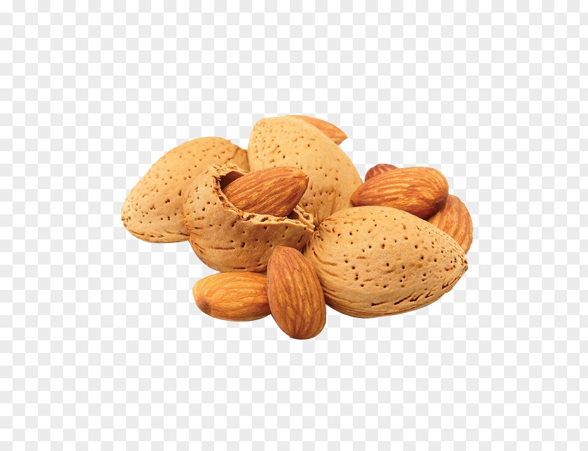 Almond Roca Milk Nut Meal PNG