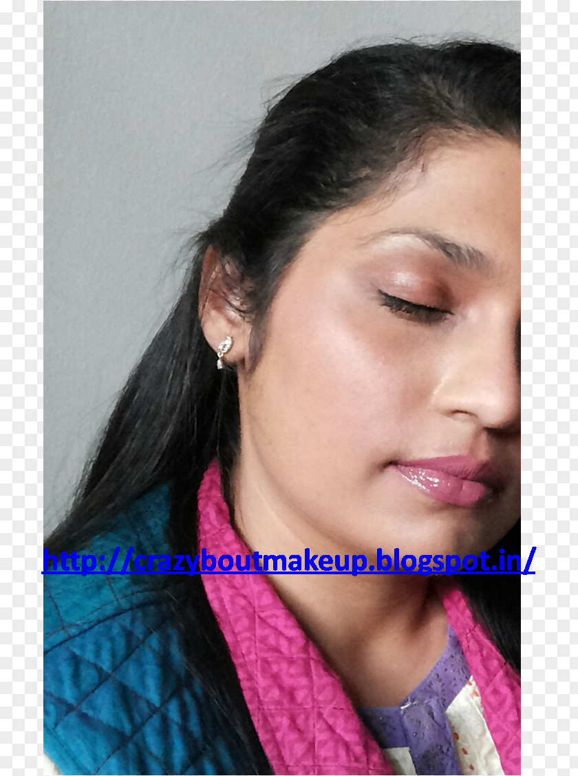 Priya's Salon Rouge Max Factor Hair Coloring Cheek Cosmetics PNG
