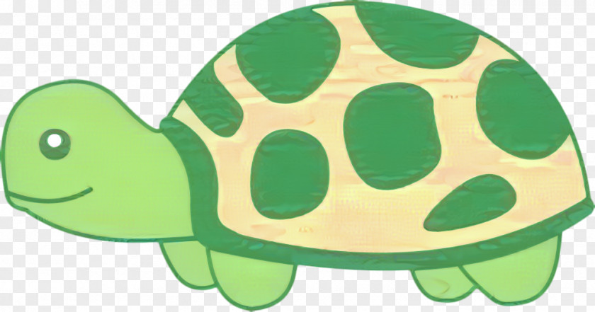 Sea Turtle Clip Art Image Tortoise PNG