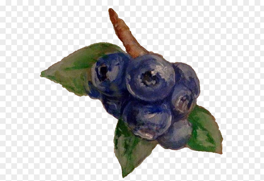 Blueberry Bilberry Violet Flower PNG