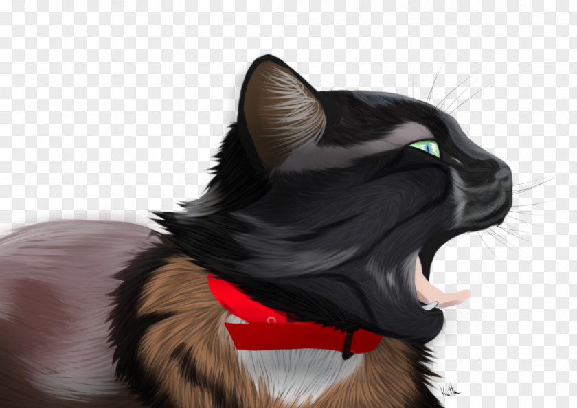 Cat Whiskers Fur Paw Snout PNG