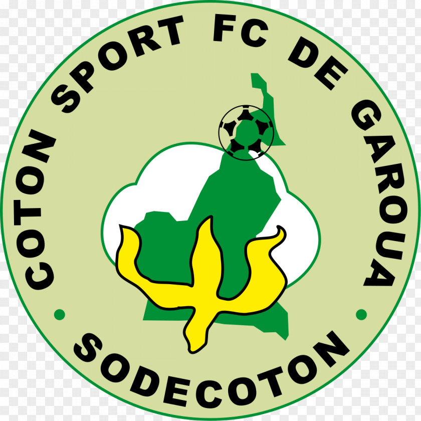 Football Coton Sport FC De Garoua Elite One CAF Champions League New Star Douala Aigle Royal La Menoua PNG