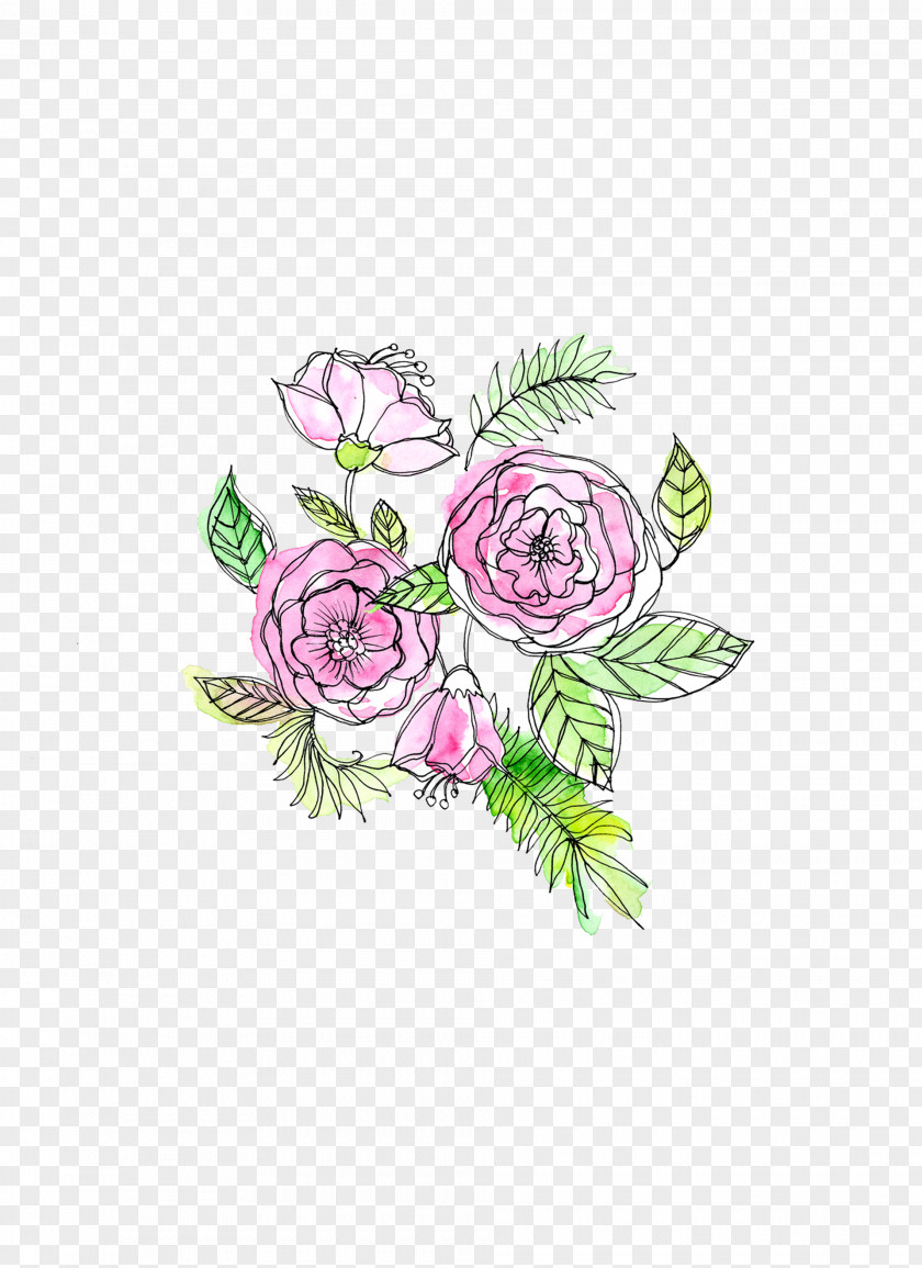 Pedicel Floristry Bouquet Of Flowers Drawing PNG