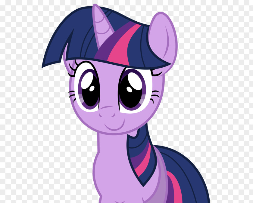 Twilight Sparkle Pinkie Pie Rainbow Dash Applejack Pony PNG