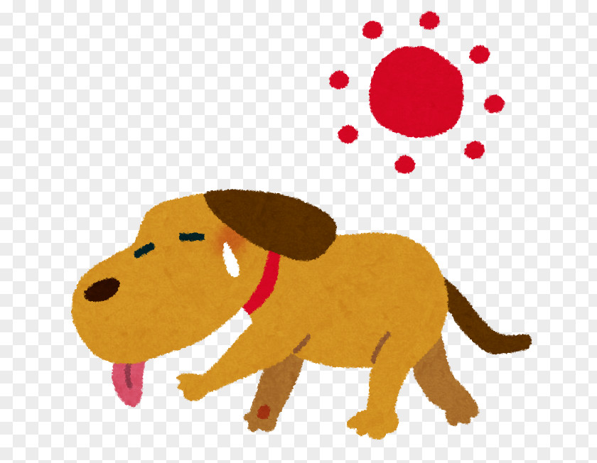 Dog Hyperthermia Cat Disease Veterinarian PNG