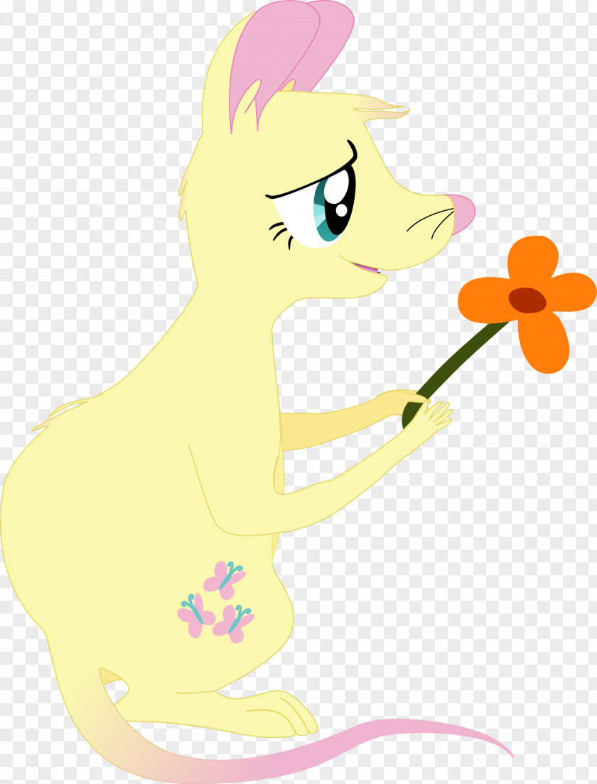 First Vector Horse Fluttershy Pony Yellow Cat PNG