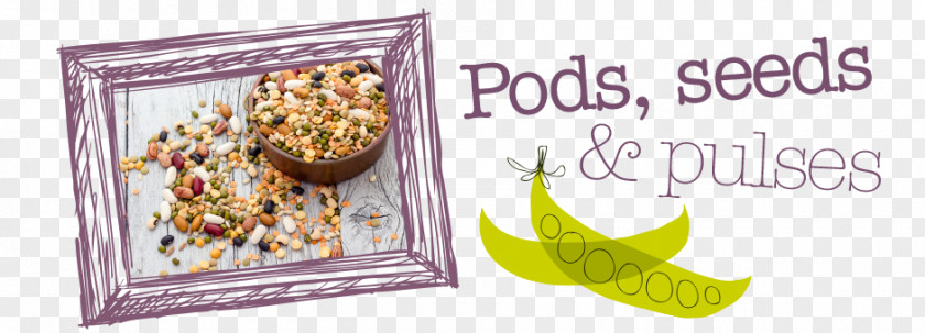 Pulses Food Group Vegetarian Cuisine Recipe Snack Superfood PNG