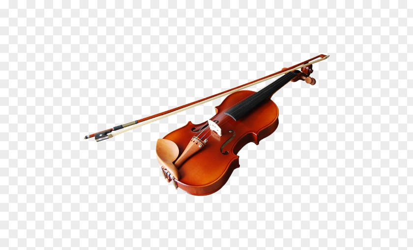 Violin Musical Instrument String Viola Cello PNG