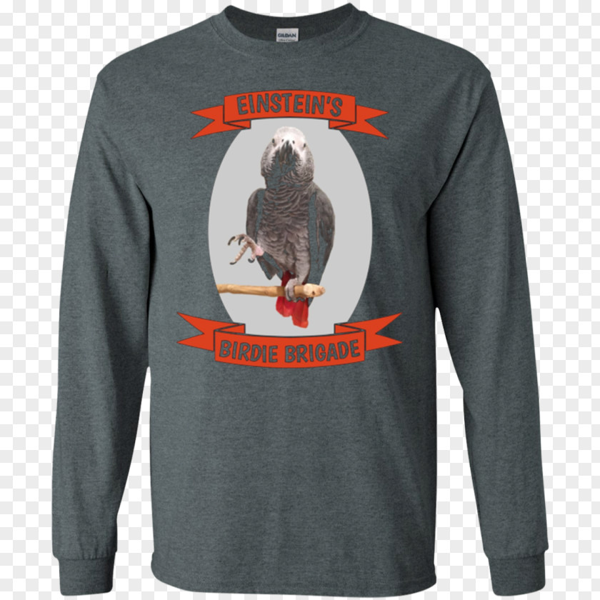 African Grey Parrot Long-sleeved T-shirt Hoodie PNG