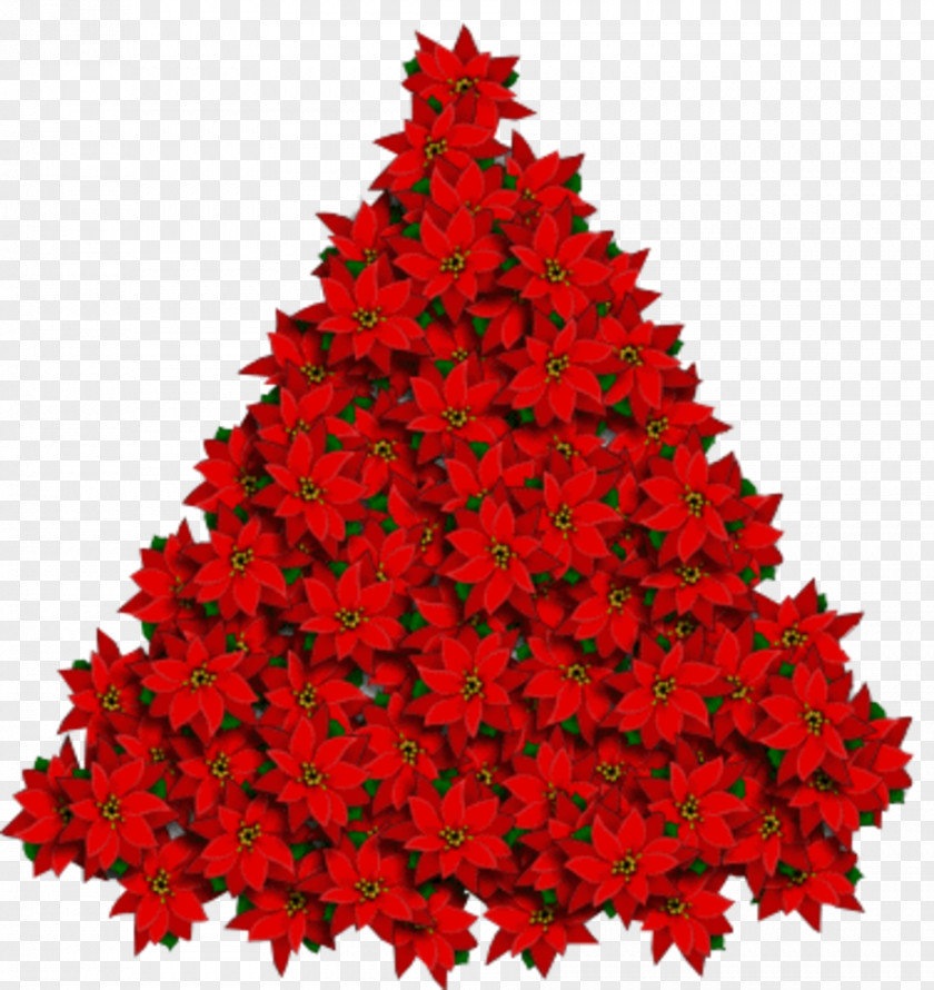 Christmas Tree Fir Santa Claus Ornament PNG