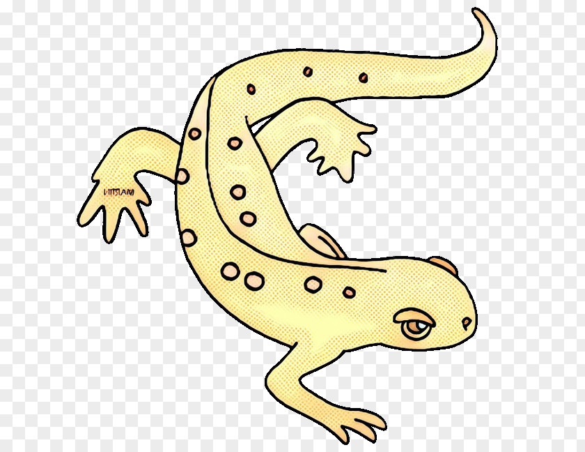Clip Art Toad Fauna Gecko Terrestrial Animal PNG