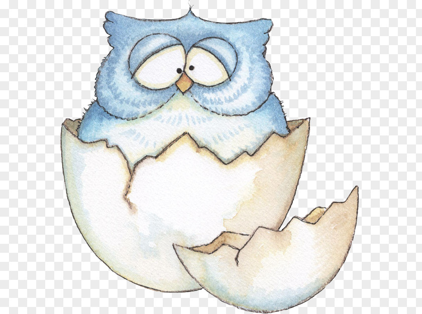 Eagles Broken Shell Owl Drawing Picasa Web Albums Illustration PNG