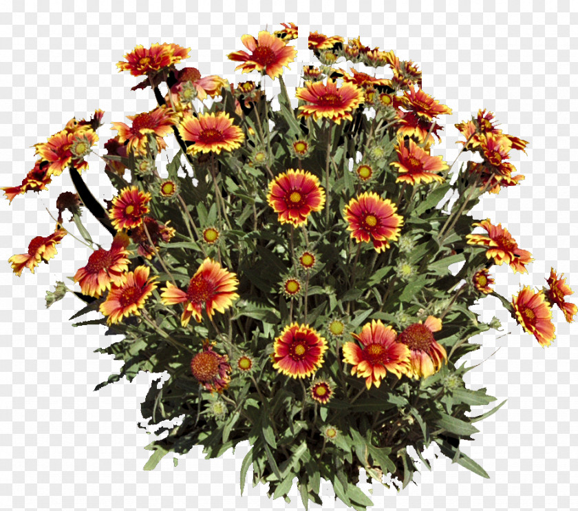 Flower Floral Design Cut Flowers Bouquet Interflora PNG