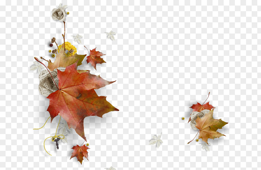 Autumn Clip Art Image GIF PNG