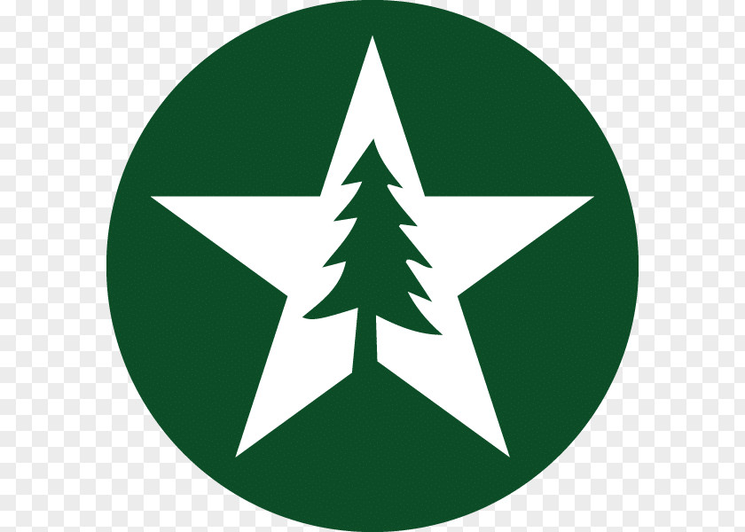 Esperanto Wikipedia Symbols Culture PNG