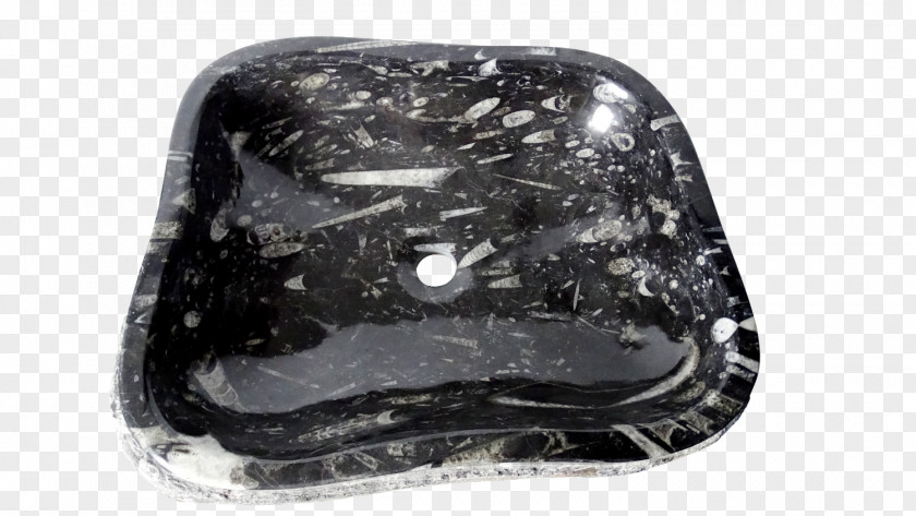 Marmer Orthoceras Fossil Marble Centimeter Black M PNG
