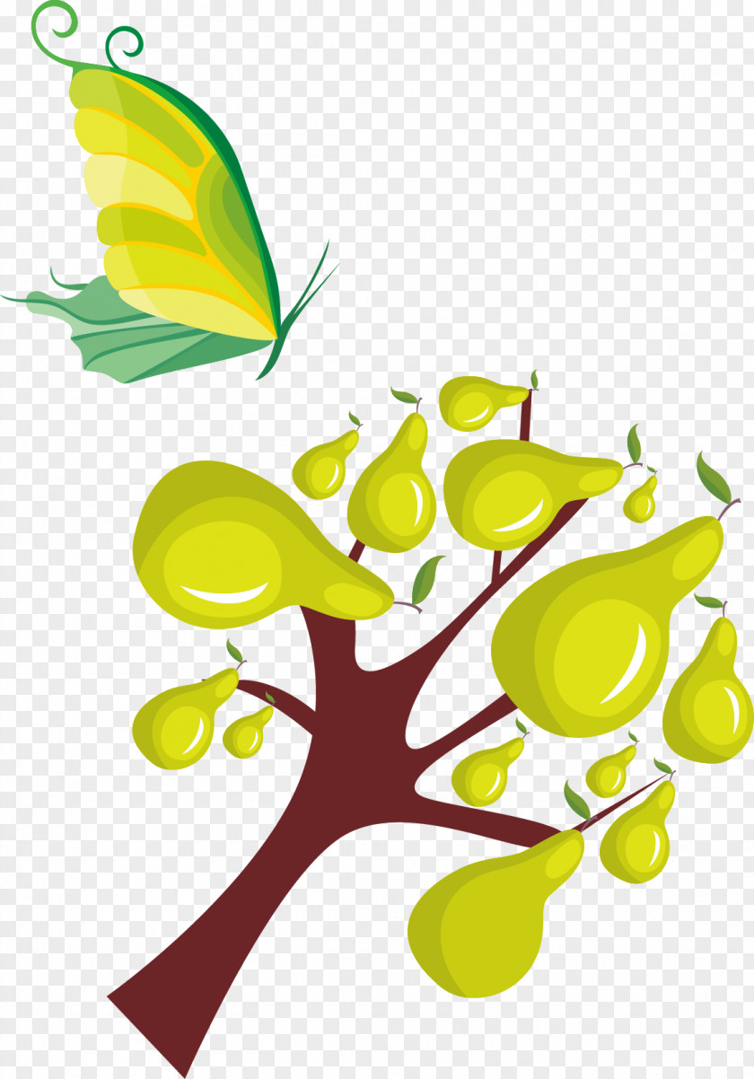 Pear Tree Asian Tomato PNG