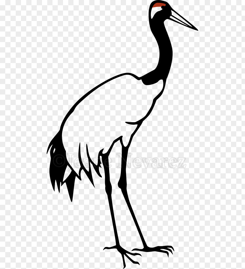 Red-crowned Crane Grey Crowned Bird Clip Art PNG