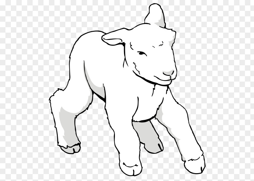 Sheep Goat Drawing Clip Art PNG