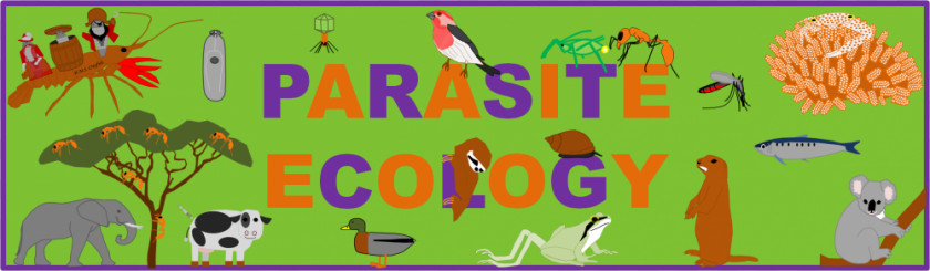 Species Interaction Cliparts Ecosystem Ecology Parasitism Clip Art PNG