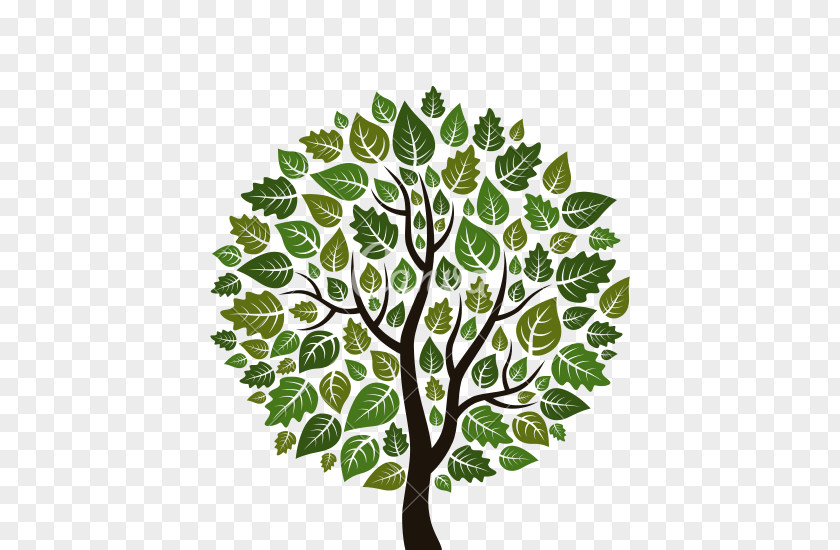 Green Tree Clip Art PNG