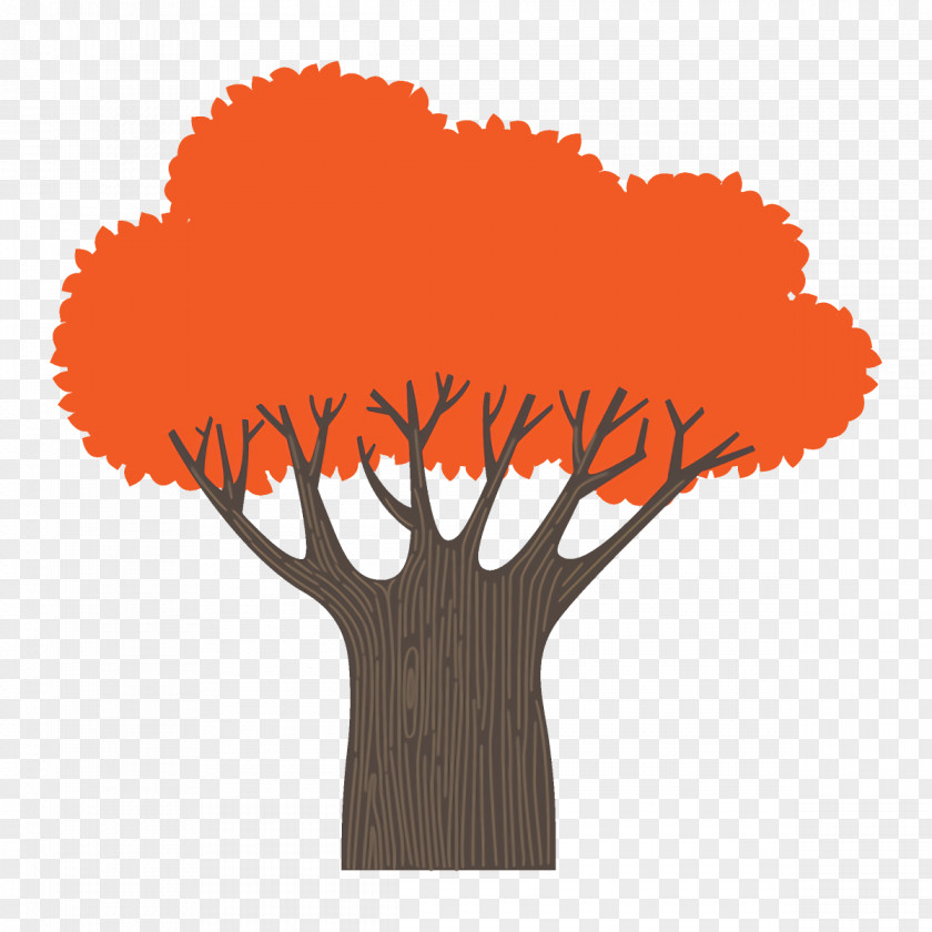 Logo Plant Autumn Tree Broadleaf PNG
