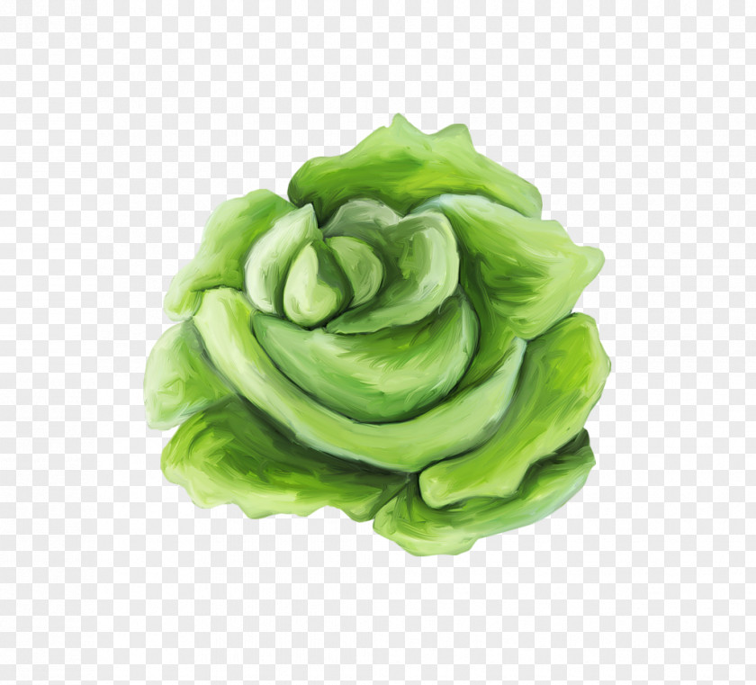 Organic Cabbage Cruditxe9s Fruit Salad Hamburger Nectar Vegetable PNG