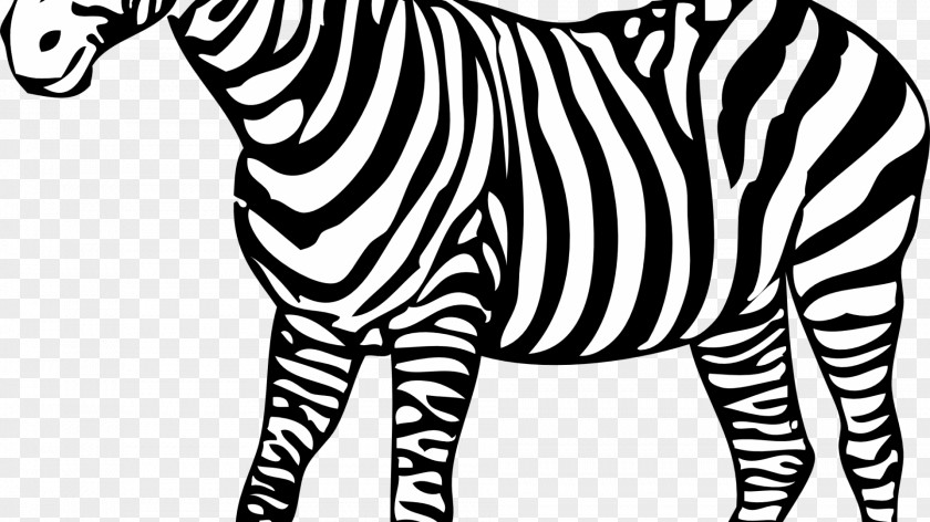 Zebra Colouring Pages Coloring Book Child PNG