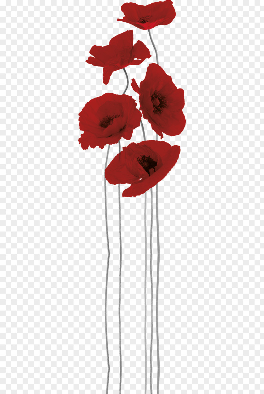 Anzac Day Poppy Paper Sticker Painting Mural PNG